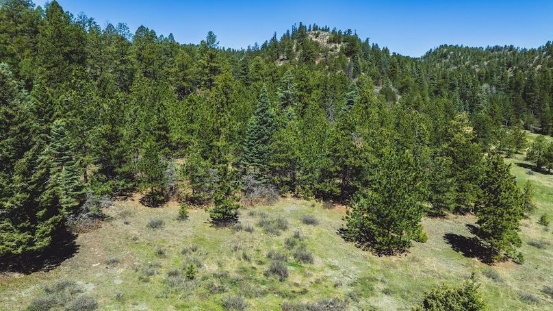 DJI_20240517125807_0087_D