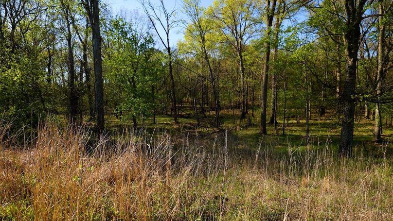 WILLIAMSON, IL 65.00_01_00_18.Still008