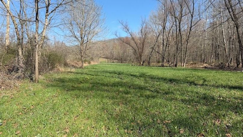 Butler 118 Capella21