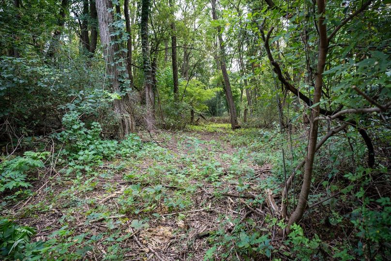 MCHENRY 32 RECENT UPDATES-37