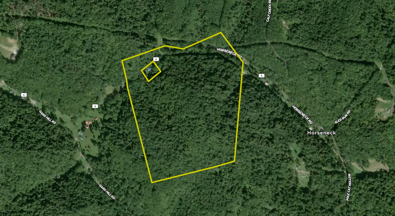 Screenshot 2026-02-08 at 10.37.31 AM