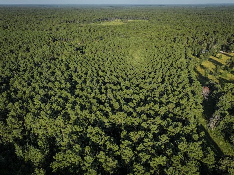 Copy of DJI_20240704190758_0032_D