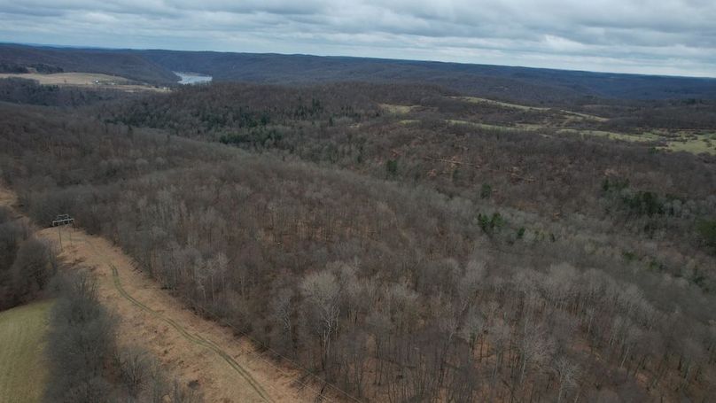 dji_fly_20260323_131916_174_1774365649186_photo