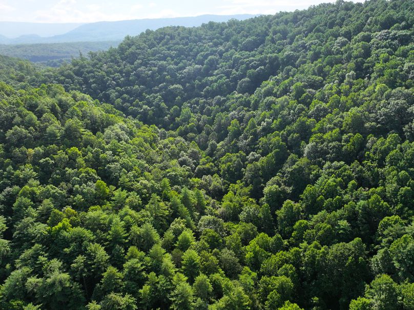 22_30.75_Alleghany_VA