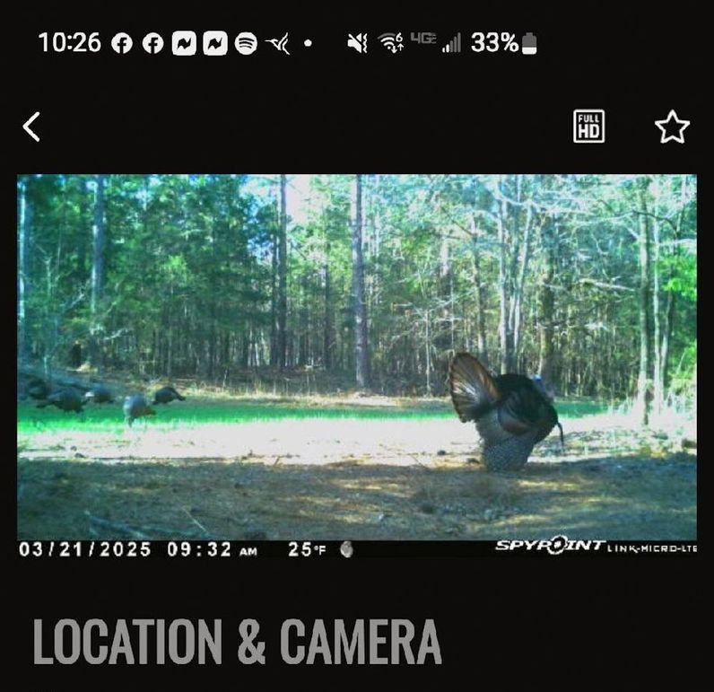 44