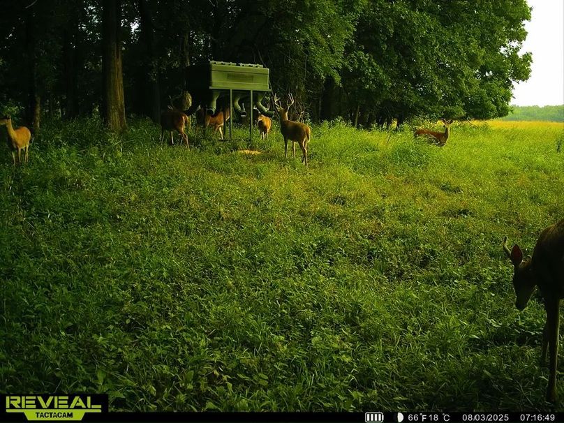 860322065946383-100-4-08032025152517-HD-SYEW0439