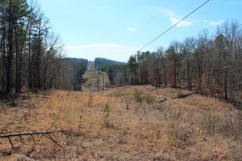 037 powerline ROW along south portion of property