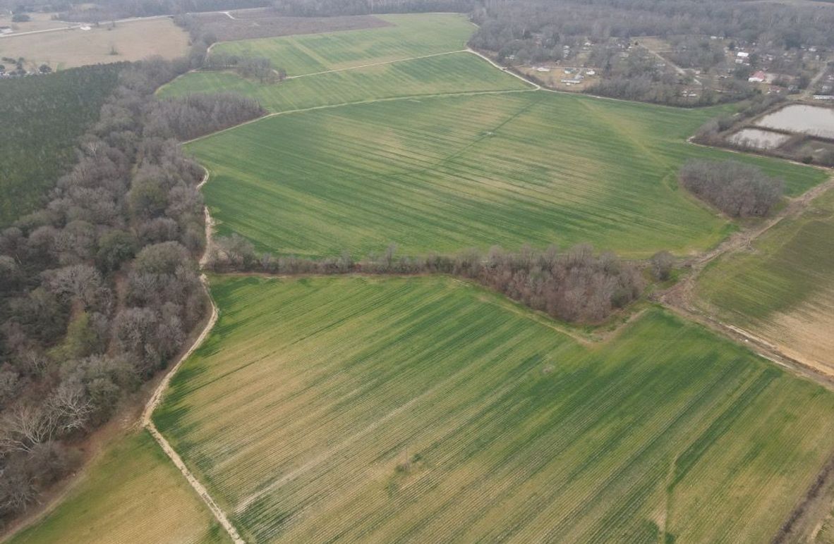 dji_fly_20260106_103334_776_1767987385988_photo