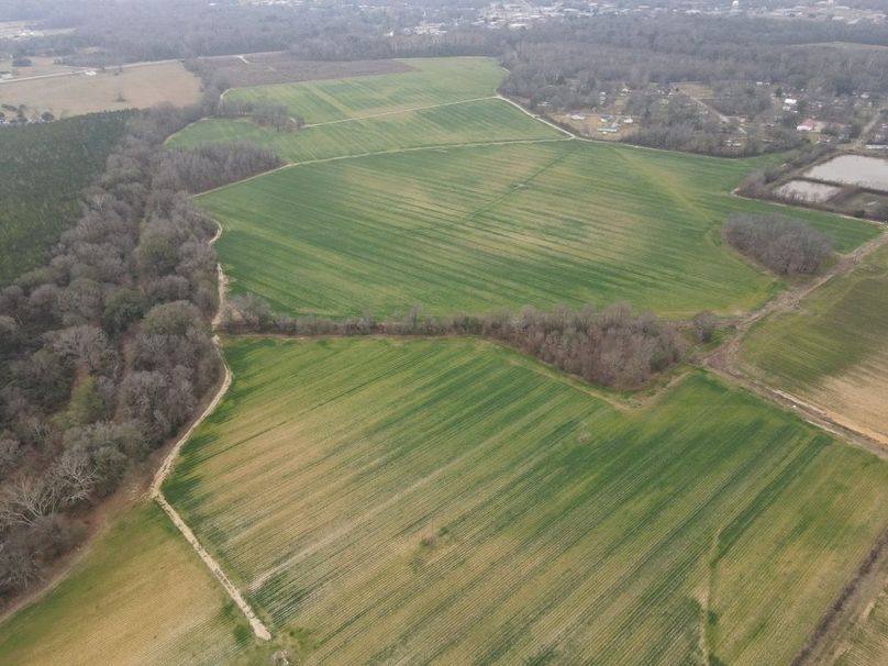 dji_fly_20260106_103334_776_1767987385988_photo