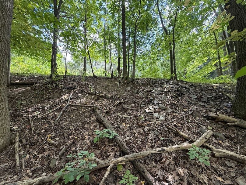 Ontario_2.7_Proseus Photo 29