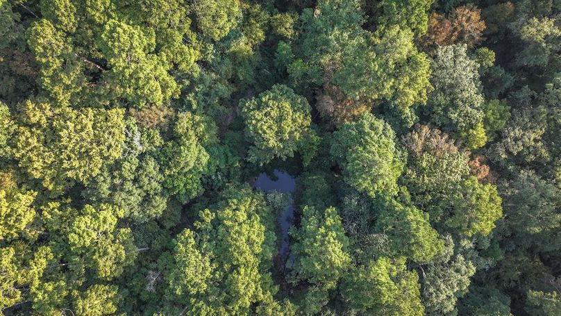 DJI_20250918082322_0144_D