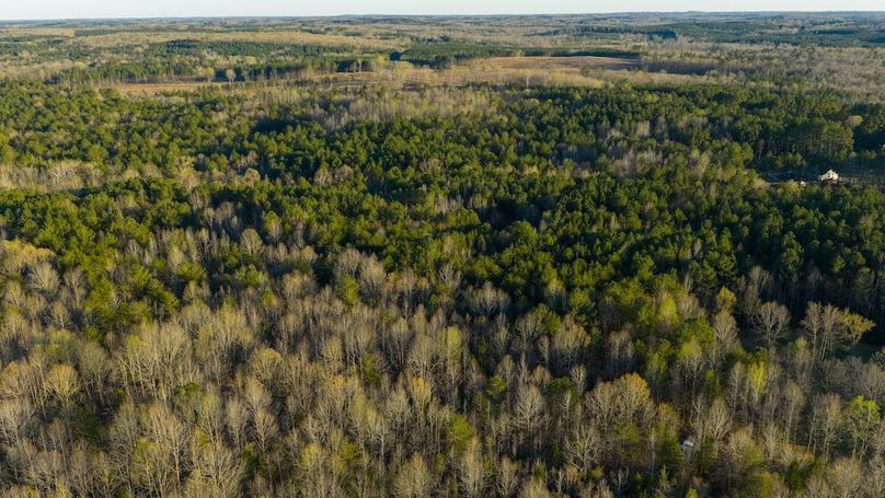 Granville NC 183 Premium _Pro Photo-82