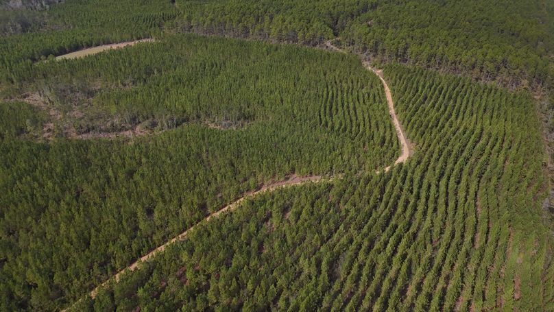 DJI_20231214123520_0009_D