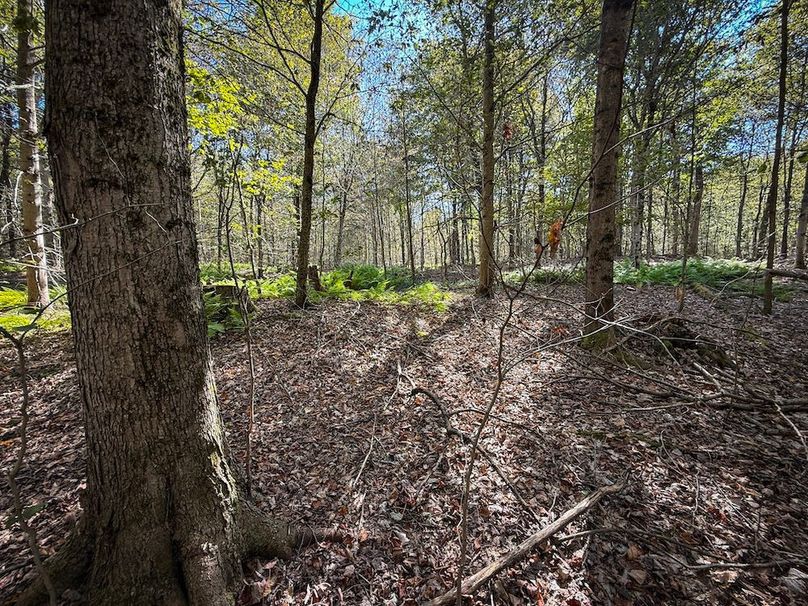 Oswego NY 18.18 Martin Photos 25