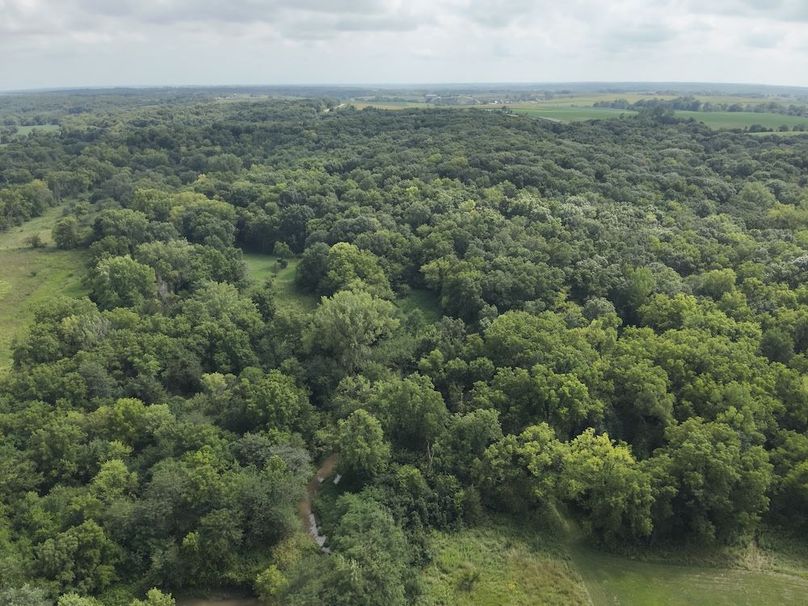 DJI_20240815153633_0014_V