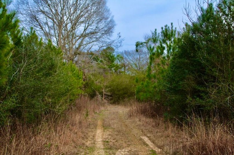 8A769931-AC9E-4B19-A8BC-8EFD079EB57F_1_105_c