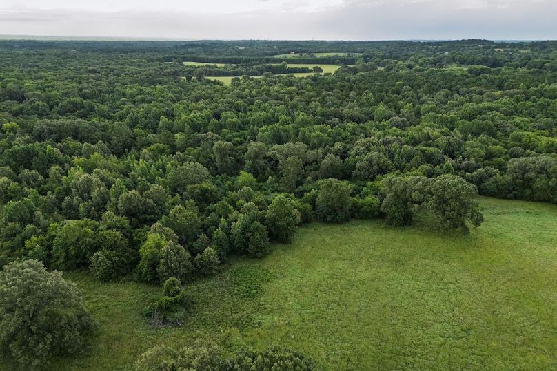 Copy of DJI_20250709194511_0158_D