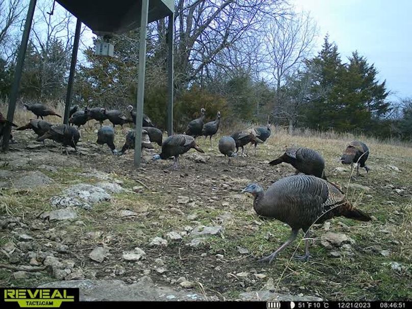 865509050410723-100-3-12212023084703-w1005399