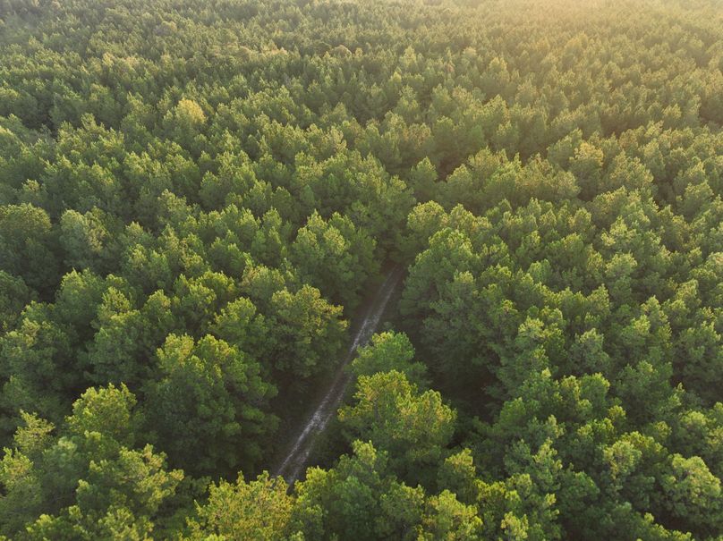 dji_fly_20230925_074644_747_1695642640448_photo