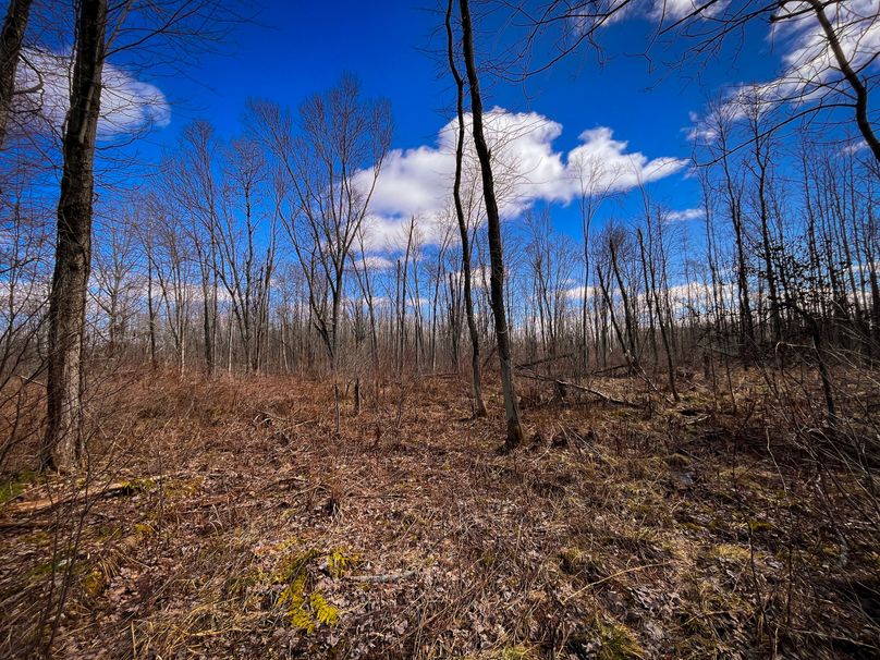 Oswego_165.52_Lashomb_Photos_21