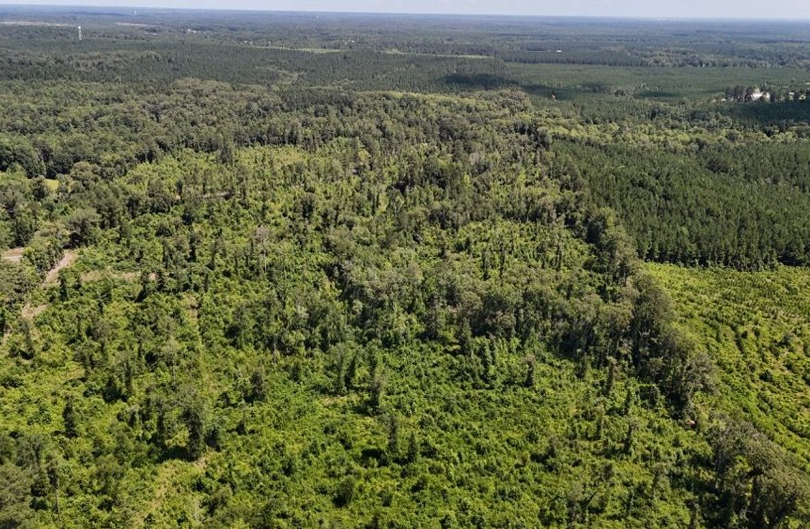 DJI_20250625001916_0659_D