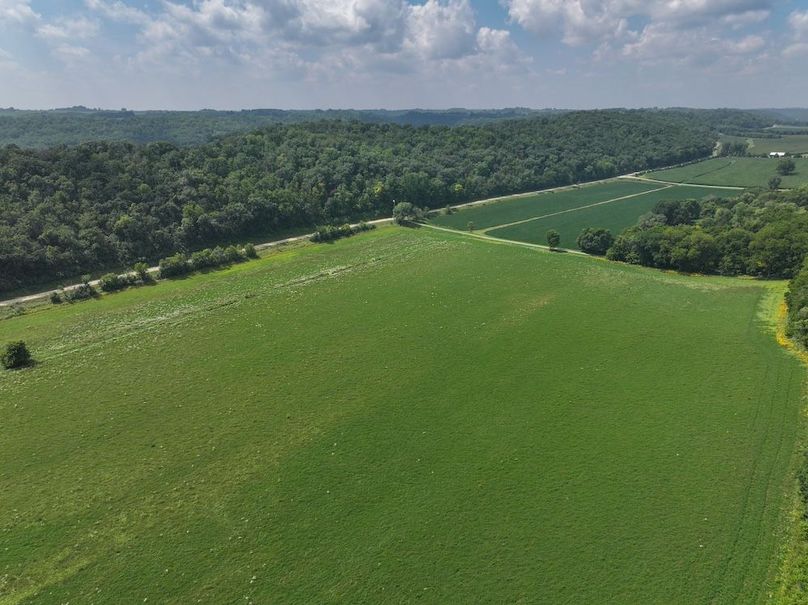 Goodhue 78.81 New -08