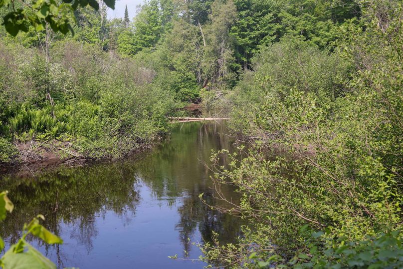 Chippewa85Knowles-5732