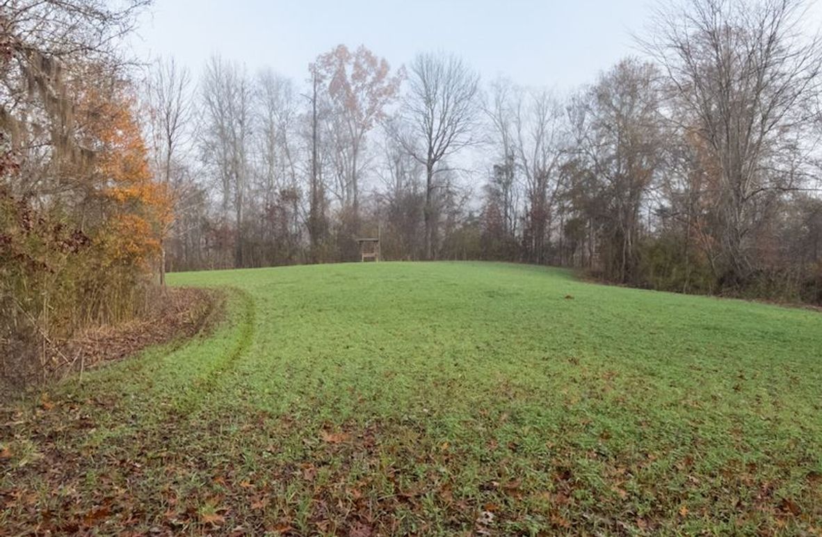 Claiborne Co - 274 - Marian-002