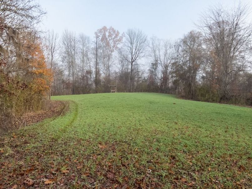 Claiborne Co - 274 - Marian-002