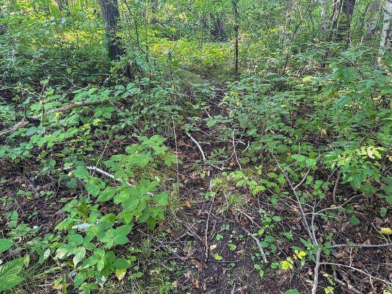 Pantzke Ground Photos-22