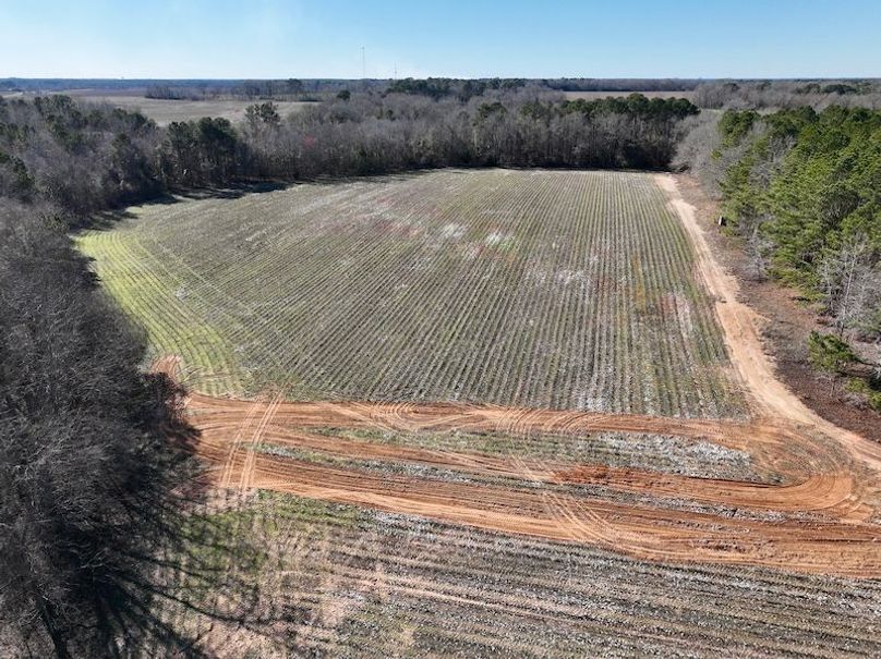 dji_fly_20260115_143950_128_1768507059442_photo