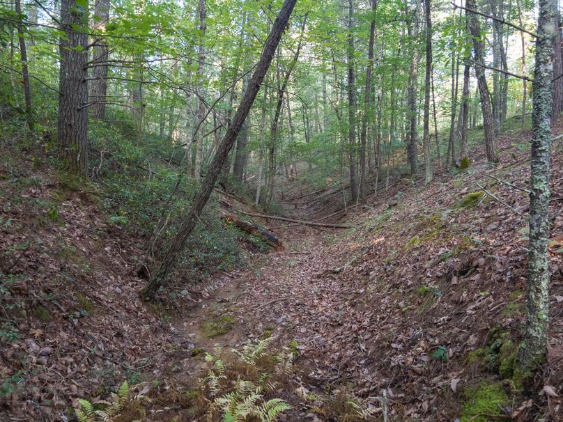 21_30.75_Alleghany_VA