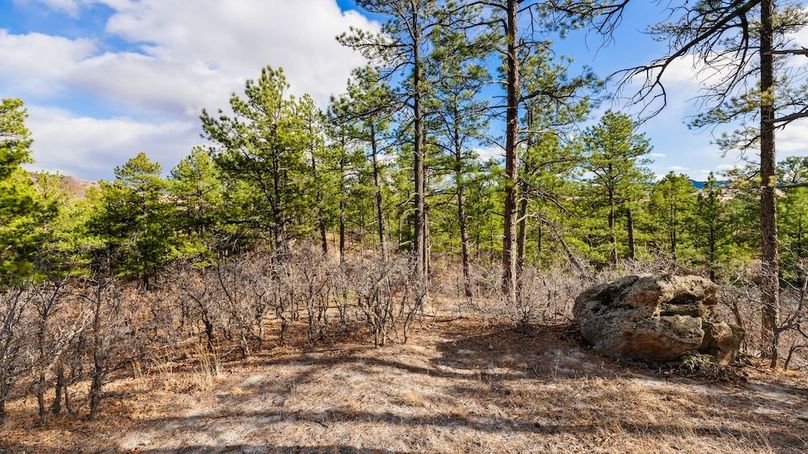 053 - NORTHERN EDGE OF PROPERTY