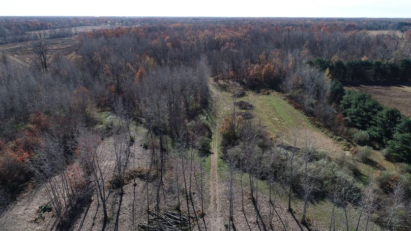 DJI_0009