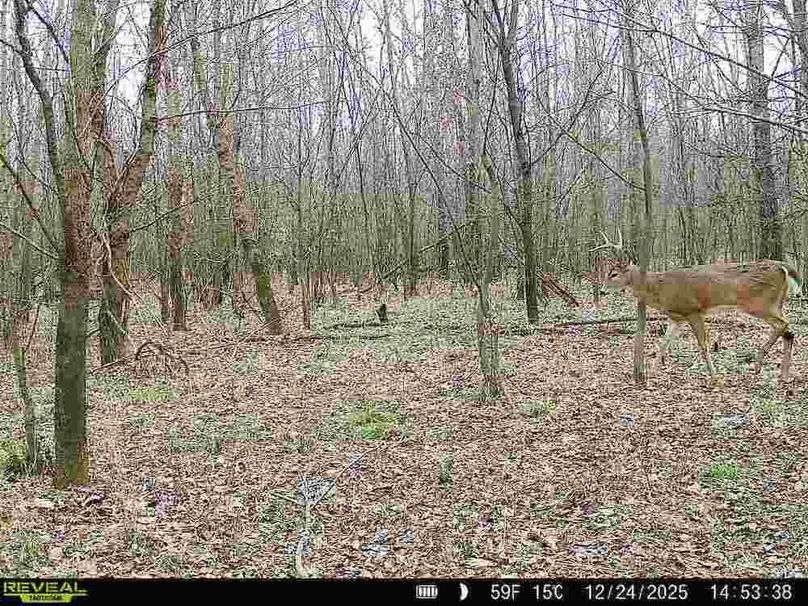 860516067589287-90-2-12242025145338-V-W1000477