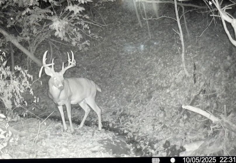 TRAIL CAM 10