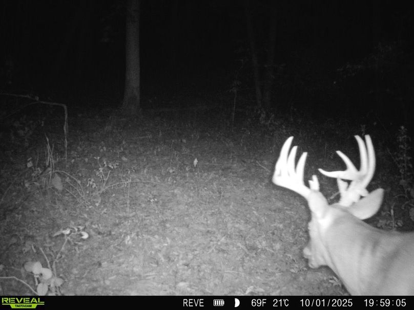 869965061395269-90-4-10012025200136-HD-SYFW2472