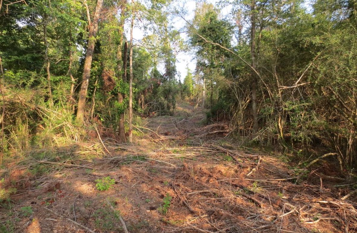 36AB0637-57AB-4C19-A5DF-0C5D494A6117_1_105_c