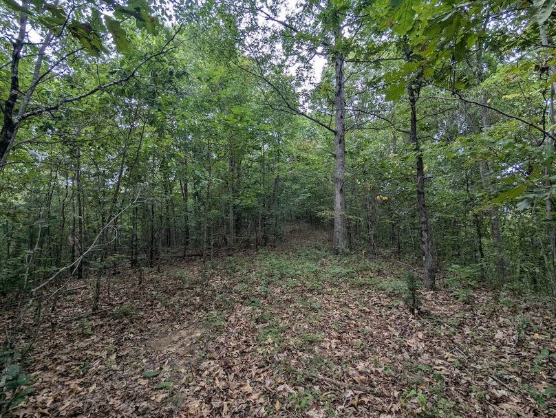 PXL_20240819_151236837