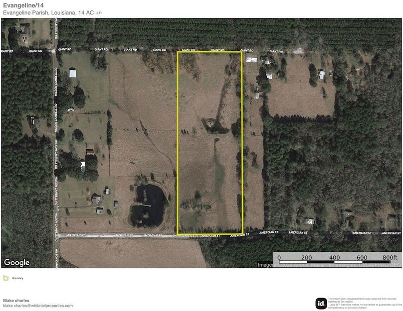 Evangeline_14_Aerial copy