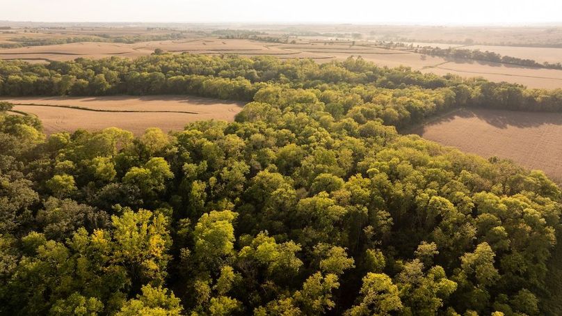 Copy of POTTAWATTAMIE CO IA 311 TRACT 3_35