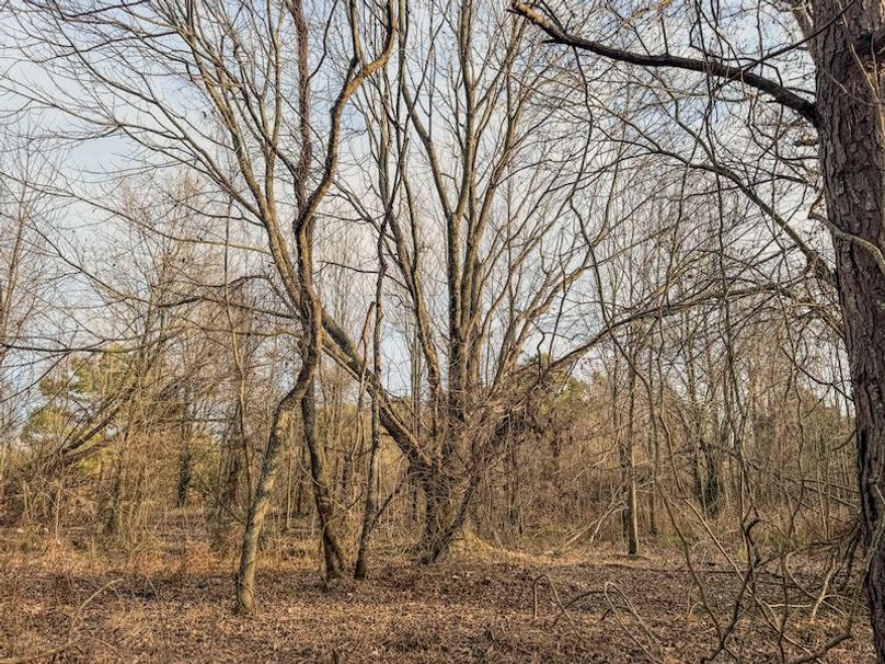 Monroe 80 Driver Dixon (Final Frontier) -20