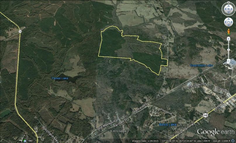 Greene county 265.71 acres map1