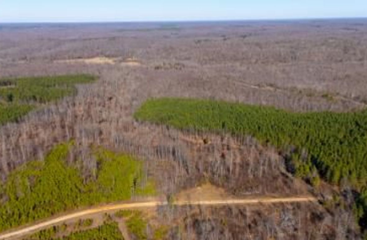 MCKINNON TRACT 18B-02