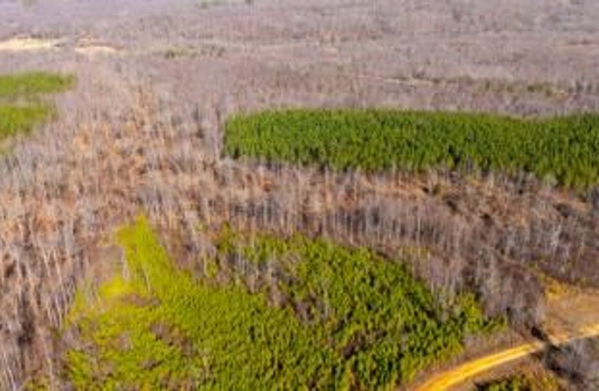 MCKINNON TRACT 18B-03