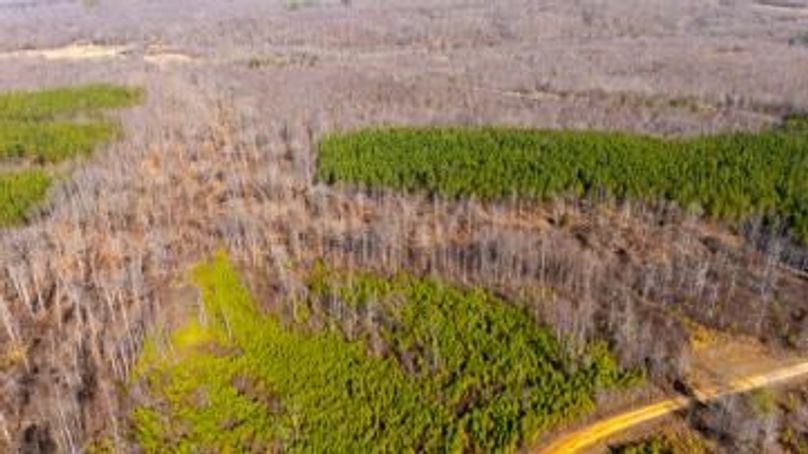 MCKINNON TRACT 18B-03