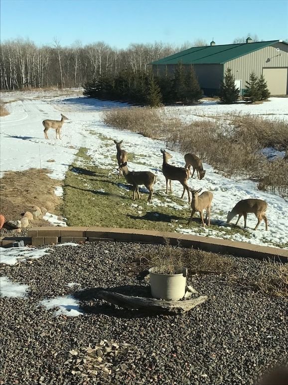 1D1AB774-889C-4B7B-9017-BC18C0DA00CF-preview