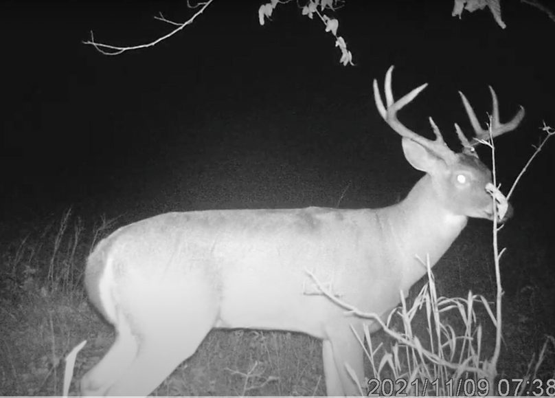 Screen Shot 2024-01-22 at 6.03.34 AM