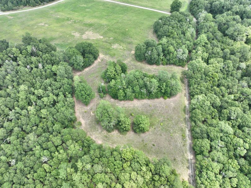dji_fly_20230731_132324_439_1690845815918_photo