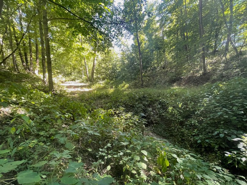 Grant 110 - 36 of 47